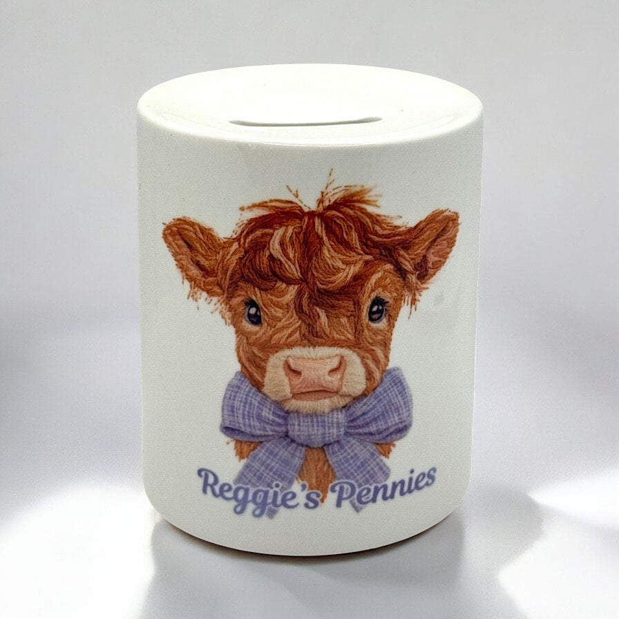 Personalised Ceramic Money Box