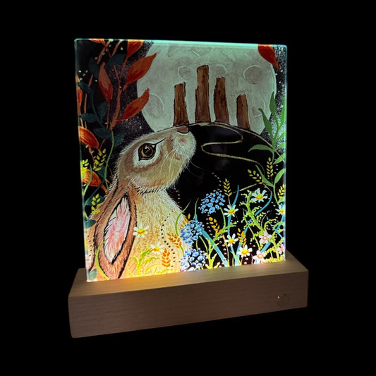 Stones of Arran - LED Glass Panels