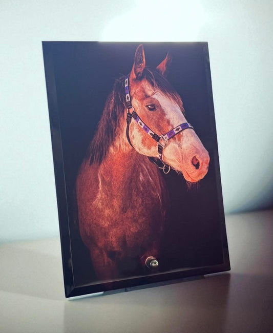 Custom Photo- Tempered Glass