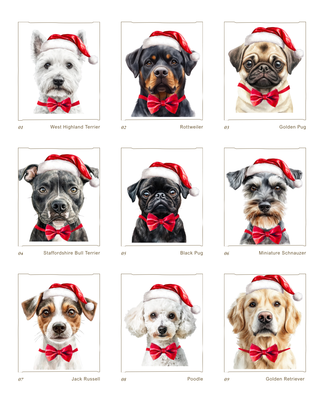 Personalised Christmas Dog Ornament — Tiny & Me.