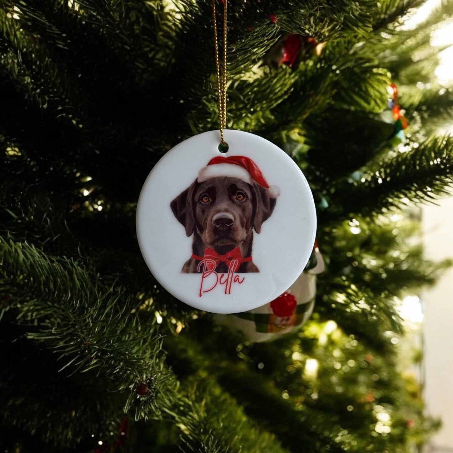 Personalised Christmas Dog Ornament — Tiny & Me.