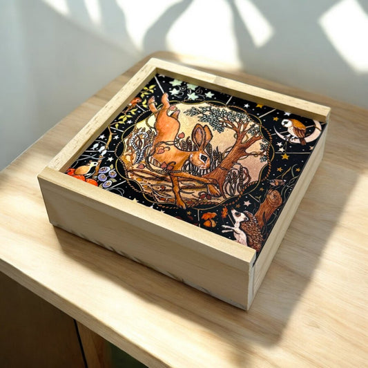 Oh-My Coaster Box